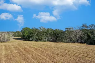 Lot 5 County Road 229, Bedias, TX 77831 - Photo 1