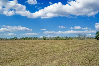Lot 5 County Road 229, Bedias, TX 77831 - Photo 5