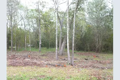 0 Patricia Lane Cr 377, Alvin, TX 77511 - Photo 9