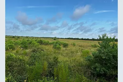 9020 Katy Hockley Road, Katy, TX 77493 - Photo 5