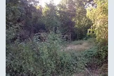 Tbd Arrowhead Drive, Onalaska, TX 77360 - Photo 5