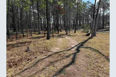 006 Private Road 6028 Tract 1-6, Brookeland, TX 75931 - Photo 5