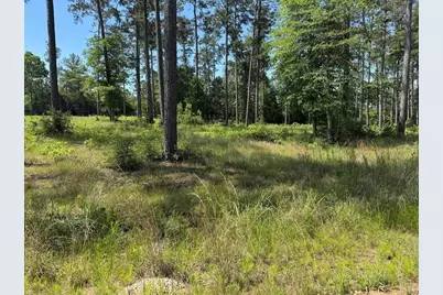 006 Private Road 6028 Tract 1-6, Brookeland, TX 75931 - Photo 7