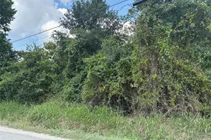 S San Jacinto Ave, Iola, TX 77861 - Photo 1