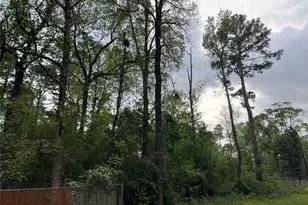 0 White Oak, Conroe, TX 77303 - Photo 3