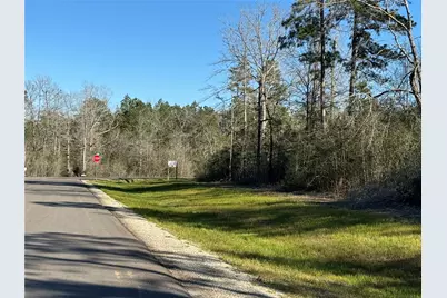 109 Noble Drive, New Waverly, TX 77358 - Photo 11
