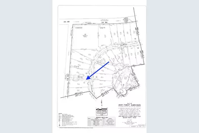 109 Noble Drive, New Waverly, TX 77358 - Photo 5