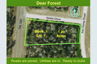 109 Noble Drive, New Waverly, TX 77358 - Photo 1