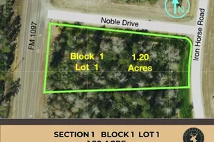 109 Noble Dr, New Waverly, TX 77358 - Photo 1