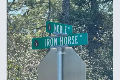 109 Noble Drive, New Waverly, TX 77358 - Photo 9