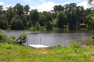 732 Lake Camelot Cir, Ivanhoe, TX 75979 - Photo 17