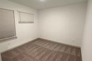 30018 Reagans Rnch Dr, Fulshear, TX 77441 - Photo 29