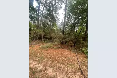 16862 Big Brave Circle, Waller, TX 77445 - Photo 1