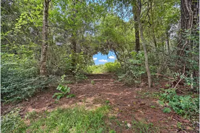 Lot Three, 3340 County Road 325, Navasota, TX 77868 - Photo 3