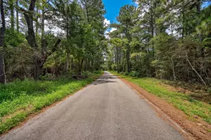 Lot Three 3340 County Rd 325, Navasota, TX 77868 - Photo 1