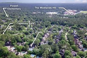 2 Day Lily Pl, The Woodlands, TX 77381 - Photo 49