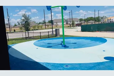 10314 Birch Peak Drive, Rosharon, TX 77583 - Photo 37