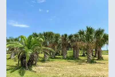 1716 Garth Avenue, Gilchrist, TX 77617 - Photo 5