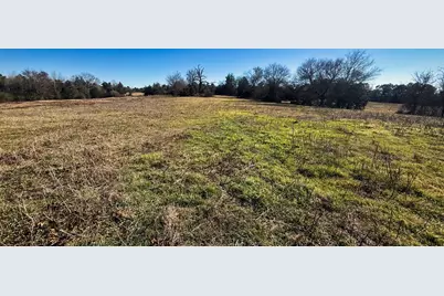 Tbd #4 County Road 477, Henderson, TX 75654 - Photo 9