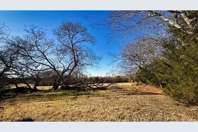 Tbd #4 County Road 477, Henderson, TX 75654 - Photo 21