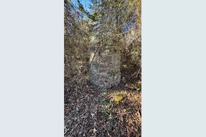 Tbd #4 County Road 477, Henderson, TX 75654 - Photo 33