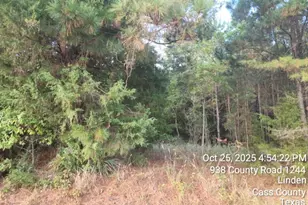 938 County Road 1244 Rd, Linden, TX 75563 - Photo 13