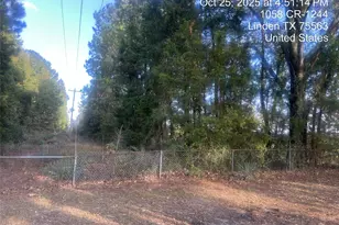 938 County Road 1244 Rd, Linden, TX 75563 - Photo 21