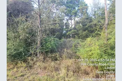 938 County Road 1244 Road, Linden, TX 75563 - Photo 15