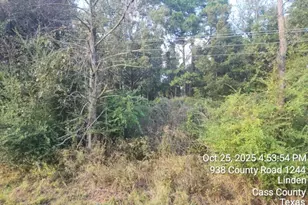 938 County Road 1244 Rd, Linden, TX 75563 - Photo 15