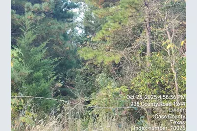 938 County Road 1244 Road, Linden, TX 75563 - Photo 5