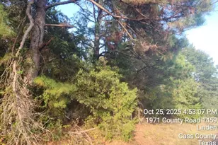 938 County Road 1244 Rd, Linden, TX 75563 - Photo 19