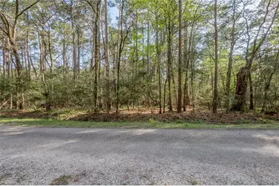 00 Holly Lane, Trinity, TX 75862 - Photo 7