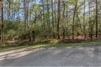 00 Holly Lane, Trinity, TX 75862 - Photo 5