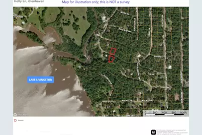 00 Holly Lane, Trinity, TX 75862 - Photo 27