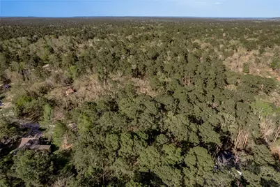 00 Holly Lane, Trinity, TX 75862 - Photo 21