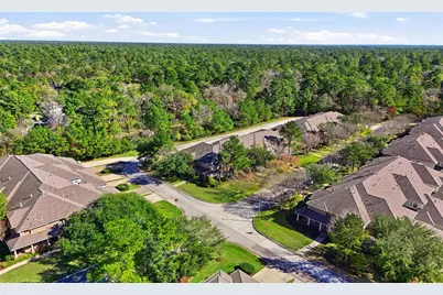 58 Crocus Petal Street, The Woodlands, TX 77382 - Photo 31