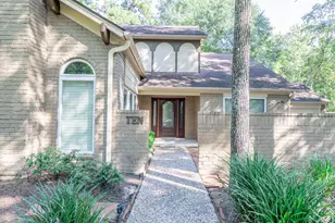 10 Coralvine Ct, The Woodlands, TX 77380 - Photo 5