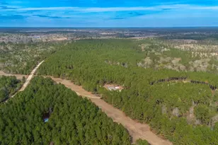 2265 Kickapoo Rd, Groveton, TX 75845 - Photo 33