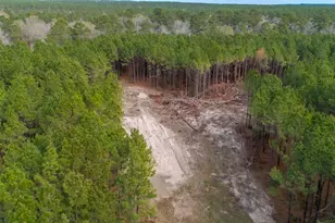 2265 Kickapoo Rd, Groveton, TX 75845 - Photo 35