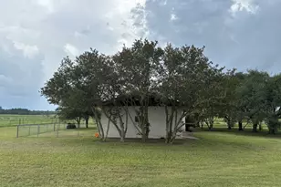3987 S Hwy 304, Rosanky, TX 78953 - Photo 5