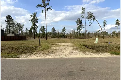 18265 Bellfounder Drive, Conroe, TX 77306 - Photo 1