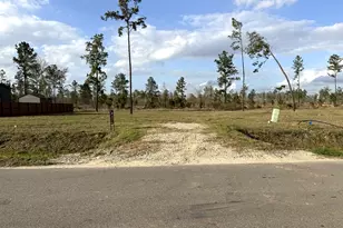 18265 Bellfounder Dr, Conroe, TX 77306 - Photo 1