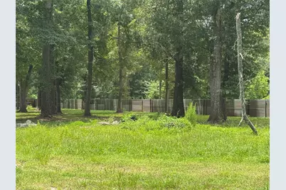 540 Oak Forest Drive, Shepherd, TX 77371 - Photo 7
