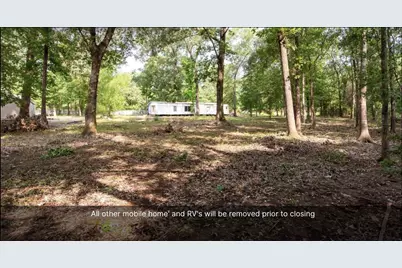 540 Oak Forest Drive, Shepherd, TX 77371 - Photo 1