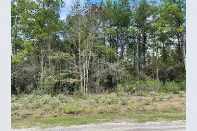 15829 Ridge Rock Road, Willis, TX 77378 - Photo 5