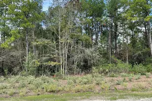 15829 Ridge Rock Rd, Willis, TX 77378 - Photo 5