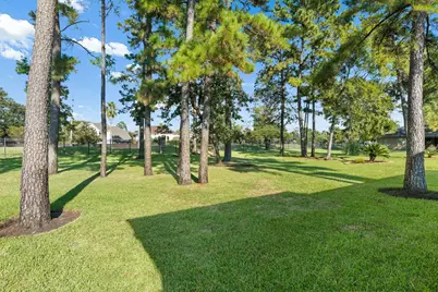 25146 Arcane Court, Spring, TX 77389 - Photo 35