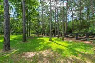 13074 Victoria Trce, Montgomery, TX 77316 - Photo 47