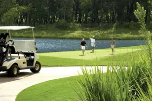 10707 Deer Path Dr, Missouri City, TX 77459 - Photo 39