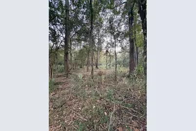 610 South 10th Street, Conroe, TX 77301 - Photo 3